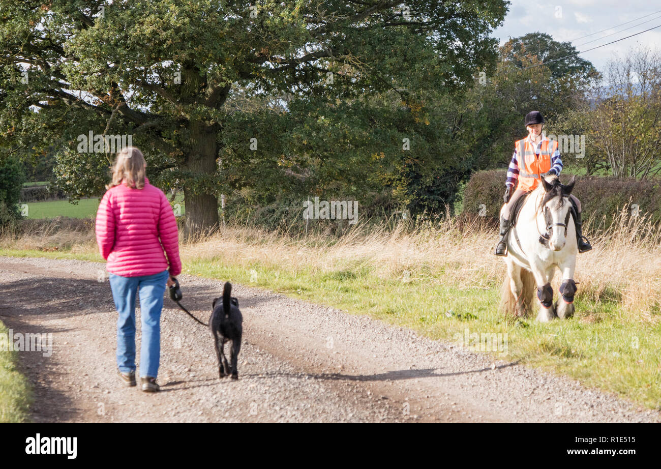 Signora a piedi il suo cane mentre è sotto controllo, il passaggio di un cavallo e cavaliere, England, Regno Unito Foto Stock