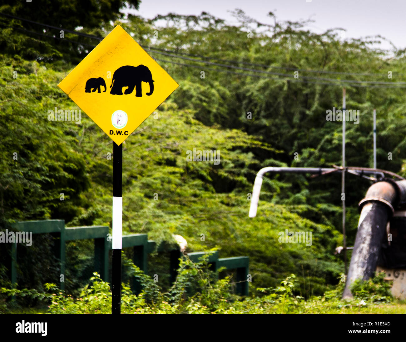 Un cartello stradale giallo avverte degli elefanti che attraversano un'autostrada vicino a Hambantota, Sri Lanka – avvisi di elefanti selvatici appaiono persino su alcune delle poche autostrade vere del paese. Foto Stock