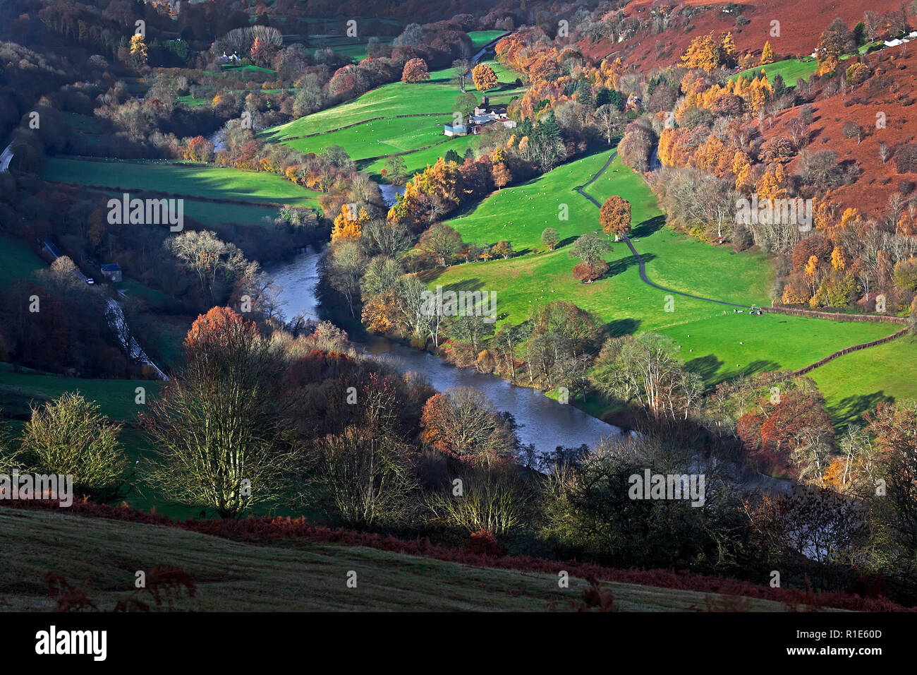 Wye Valley in autunno vicino a Builth Wells con tardo pomeriggio luce, Wales, Regno Unito Foto Stock