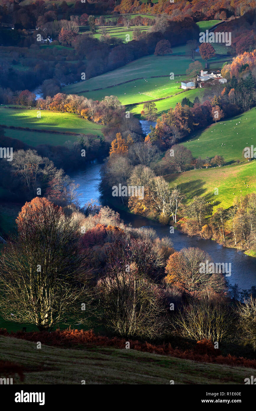 Wye Valley in autunno vicino a Builth Wells con tardo pomeriggio luce, Wales, Regno Unito Foto Stock