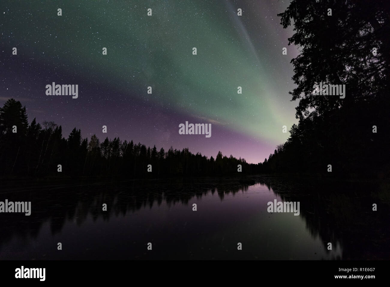 Auroras verde sul fiume Sanginjoki a Oulu, Finlandia Foto Stock