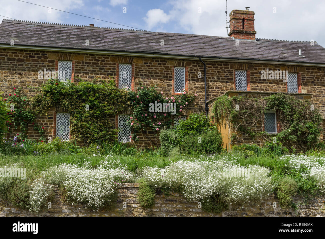Una terrazza di pietra costruito case con ben piantato giardini fronte nel villaggio di Farthingstone, Nortrhamptonshire, REGNO UNITO Foto Stock