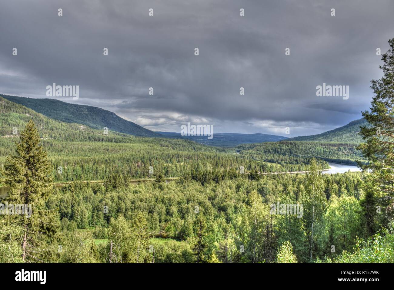 Norwegen, Alvdal, Fluss, Tal, Wald, Glåma, Elchregion, Bjøråa, Elch, Riese, Storelgen Elg, Stor-Elvdal, Elvdal, Straße, 3, Straße 3, Tal, Hauptstraße Foto Stock