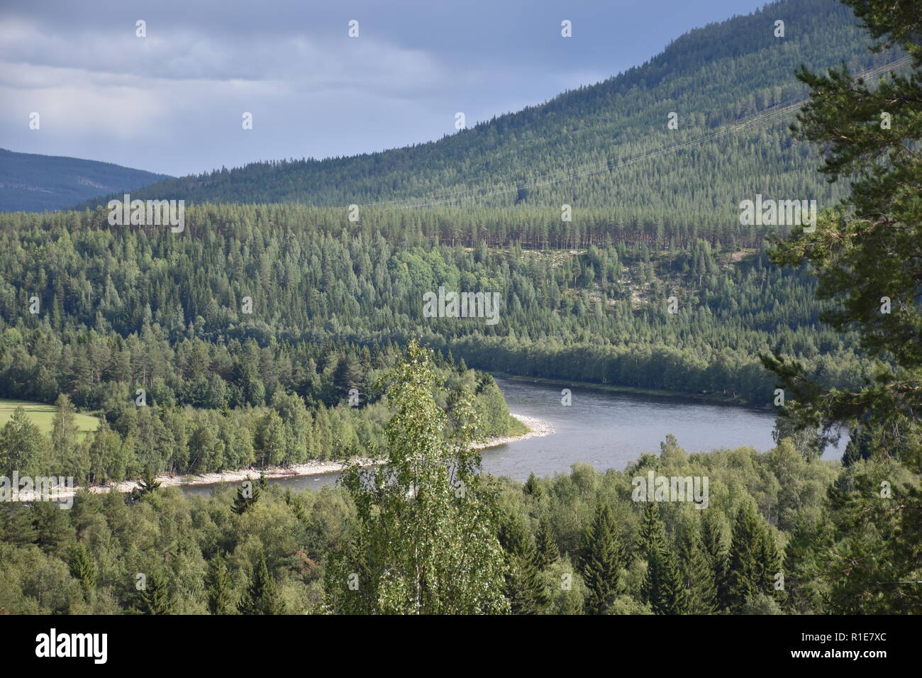 Norwegen, Alvdal, Fluss, Tal, Wald, Glåma, Elchregion, Bjøråa, Elch, Riese, Storelgen Elg, Stor-Elvdal, Elvdal, Straße, 3, Straße 3, Tal, Hauptstraße Foto Stock