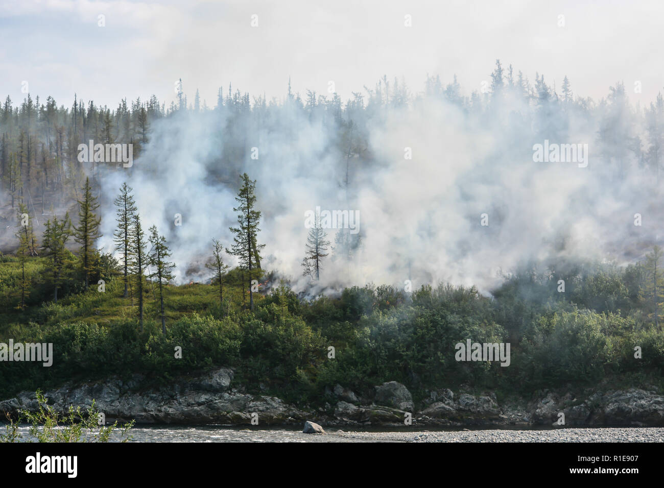 Gli incendi boschivi. Disastro naturale nella taiga negli Urali polari. Foto Stock