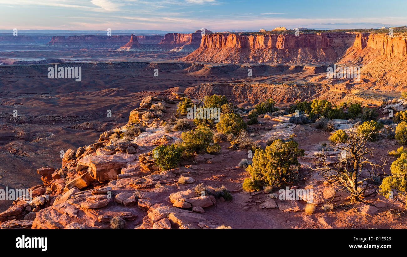 Ora d'oro la luce sul candelabro Tower e l'isola nel cielo dalla fine del Grand Viewpoint nel Parco Nazionale di Canyonlands, Utah. Foto Stock