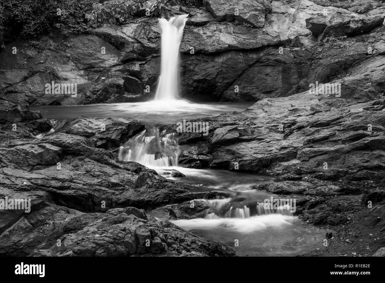 Tutti i diritti riservati / tikozook@gmail.com / originale di acquisizione digitale da una vera e propria scena di vita Foto Stock