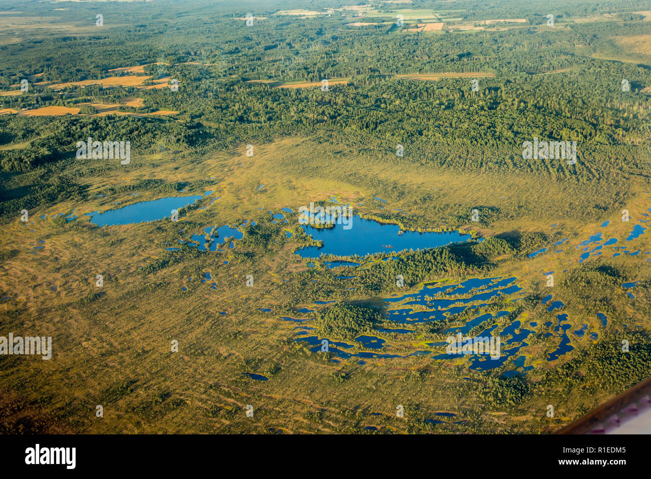 Veduta aerea di bog zone umide in Estonia, il nord Europa in estate. Fotografato dal piano privato. Dovuti a graffi e riflessioni sul piano della finestra, Foto Stock