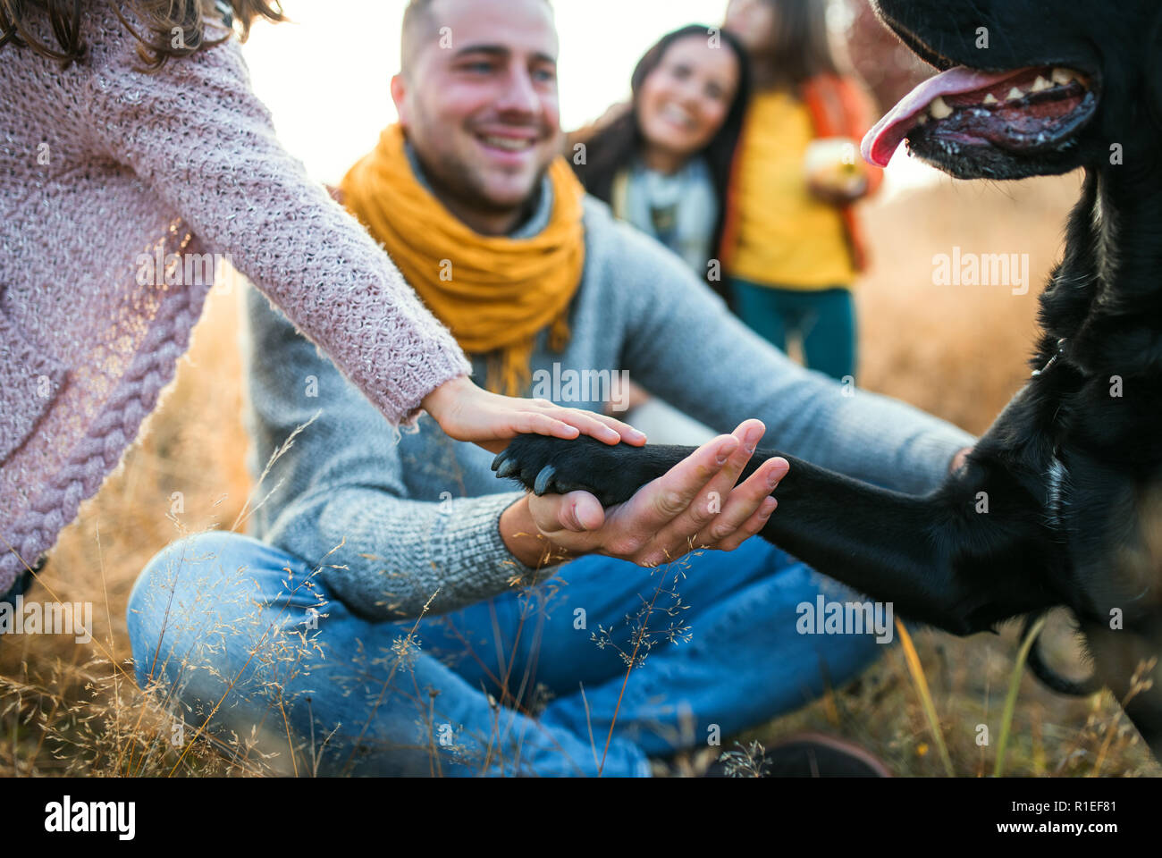Una giovane famiglia con due bambini piccoli e un cane seduto su erba in autunno la natura. Foto Stock