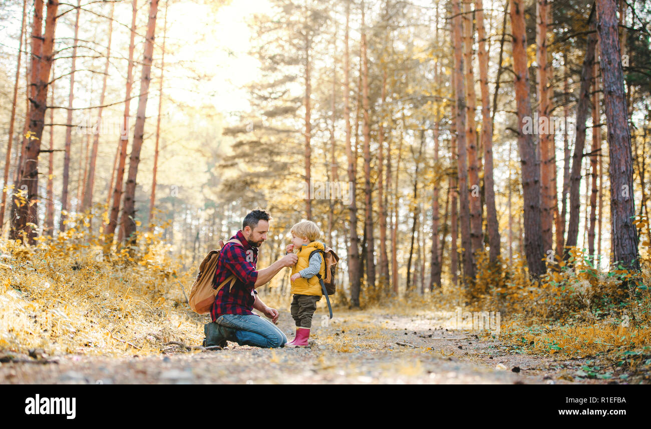 Un maturo padre con zaino e bimbo piccolo figlio in un bosco d'autunno. Foto Stock