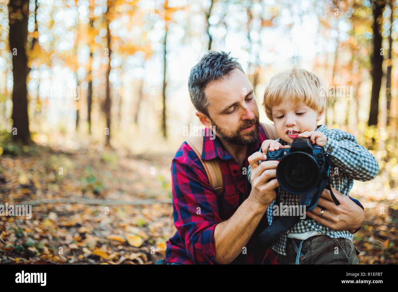Un maturo padre e un bambino figlio in una foresta autunnale, scattare foto con una fotocamera. Foto Stock