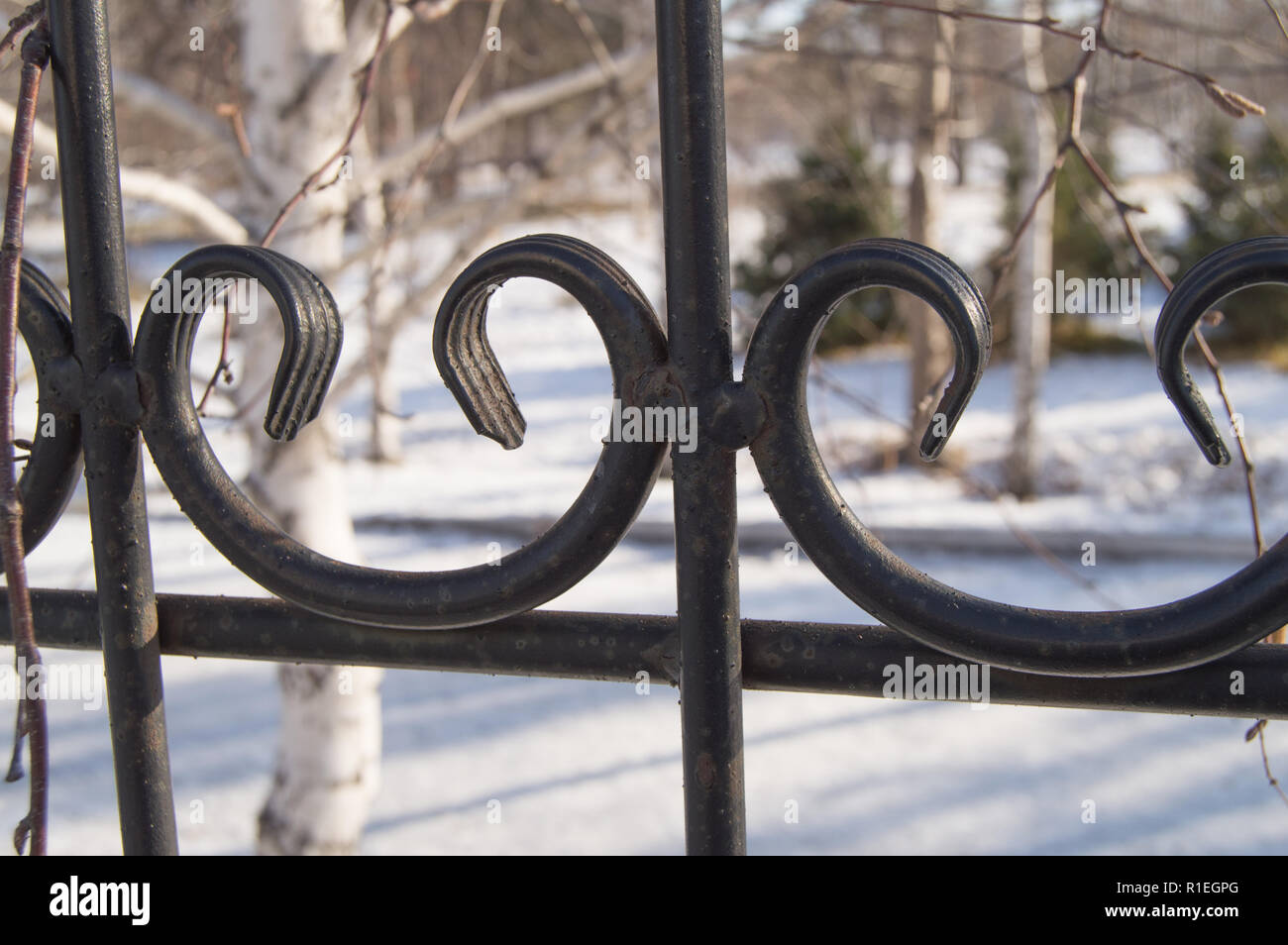Decorativo in ghisa ferro battuto recinto con la forgiatura artistica, vicino - fino sulla neve sullo sfondo Foto Stock