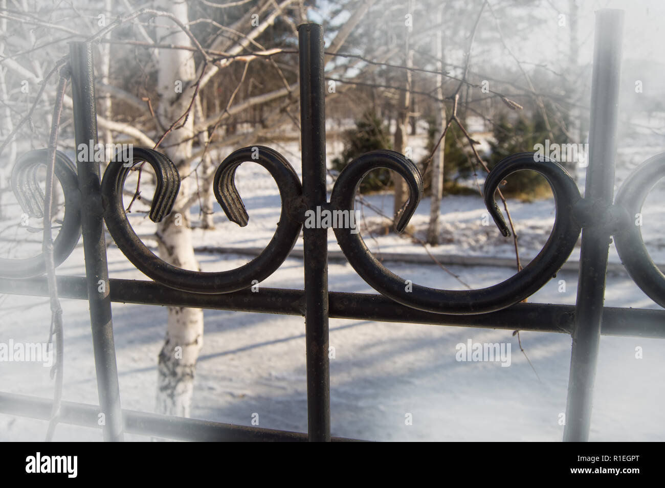 Bella cast decorativo di recinzione in ferro, con l'effetto vignette sullo sfondo di neve e alberi Foto Stock