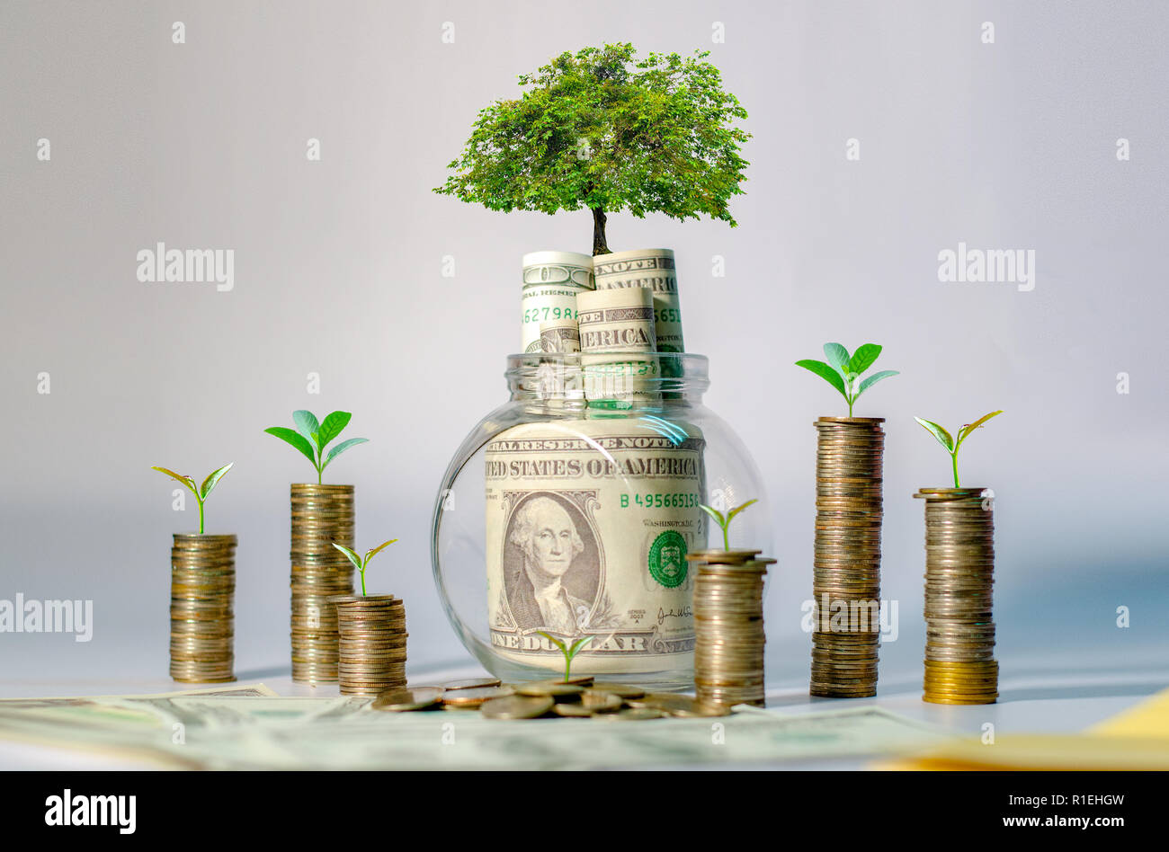 La crescita di denaro per un risparmio di denaro. Albero superiore monete al concetto illustrato ai cambiamenti di un business in espansione Foto Stock