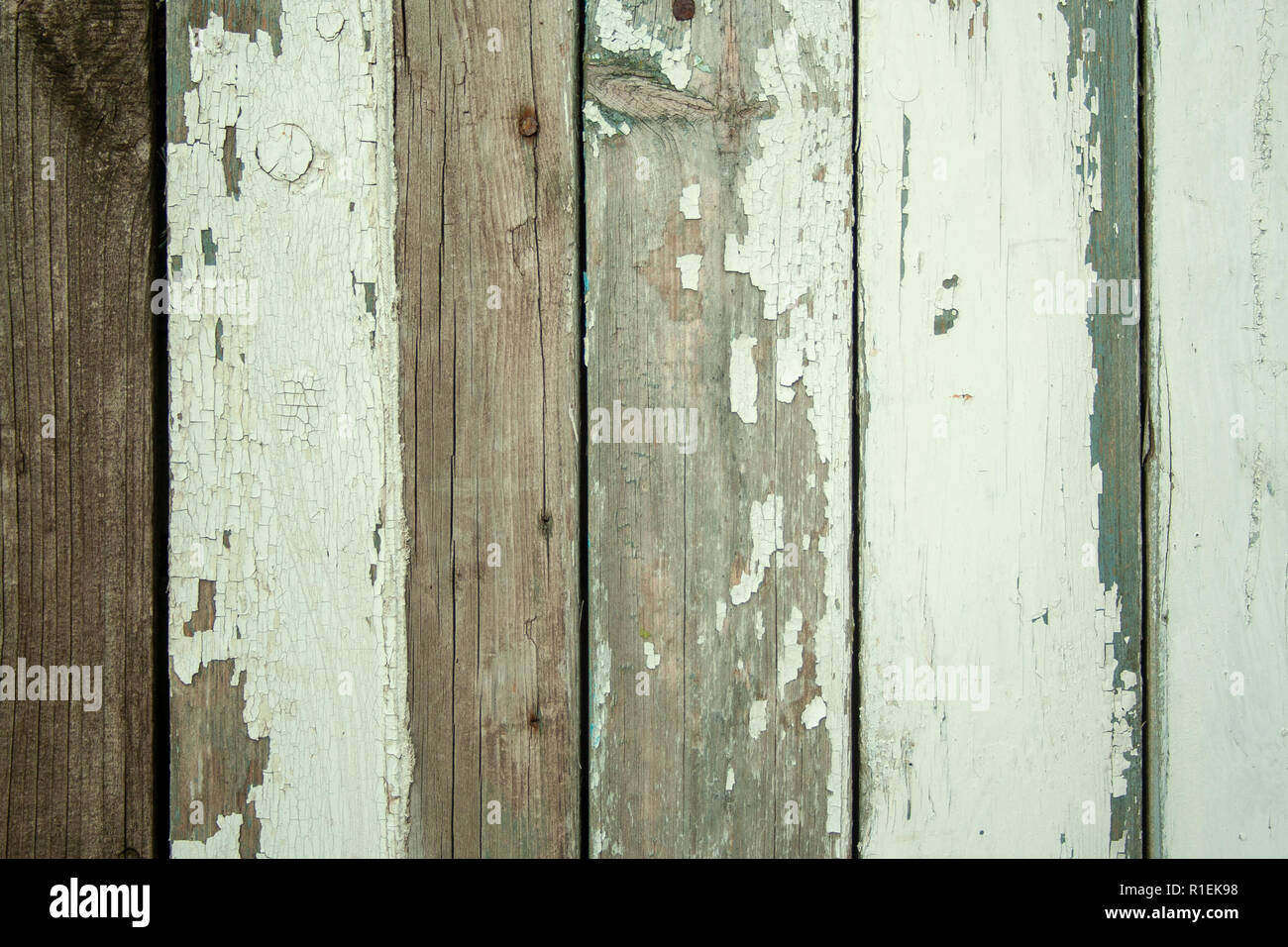 Il vecchio grunge texture di legno con vernice squallido e chiodi. Texture in legno per la progettazione e il testo Foto Stock