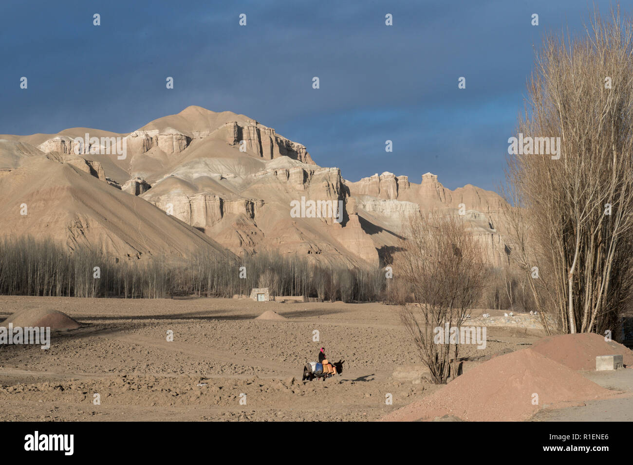 Abitante portando i bidoni di acqua su un asino al tramonto, con alberi e marrone e secca montagne sullo sfondo, nella provincia di Mazar-i-Sharif, Afghanistan Foto Stock