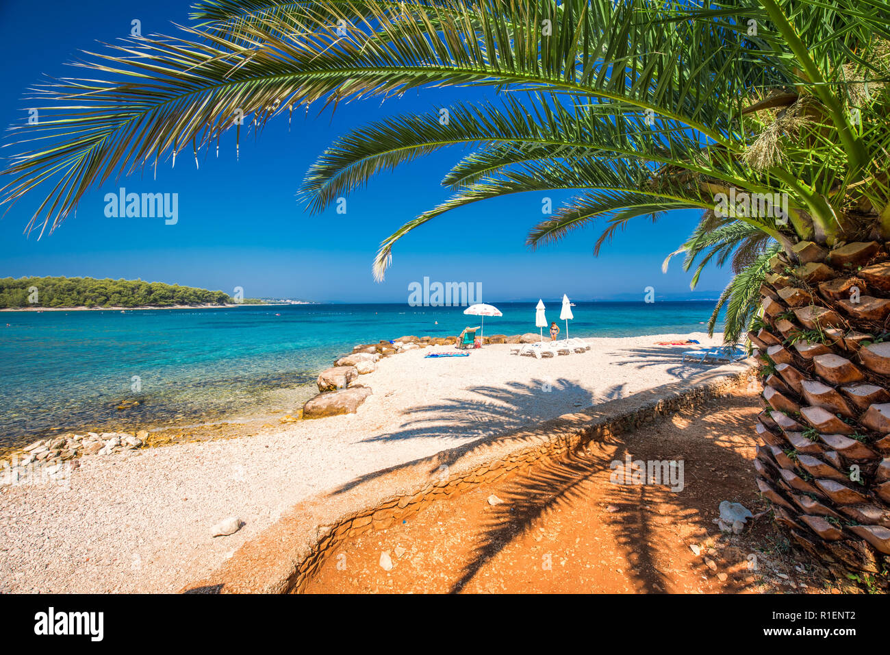 Passeggiata sul mare sull'isola di Brac con palme e turchese chiaro acque oceaniche, Supetar, Brac, Croazia Foto Stock