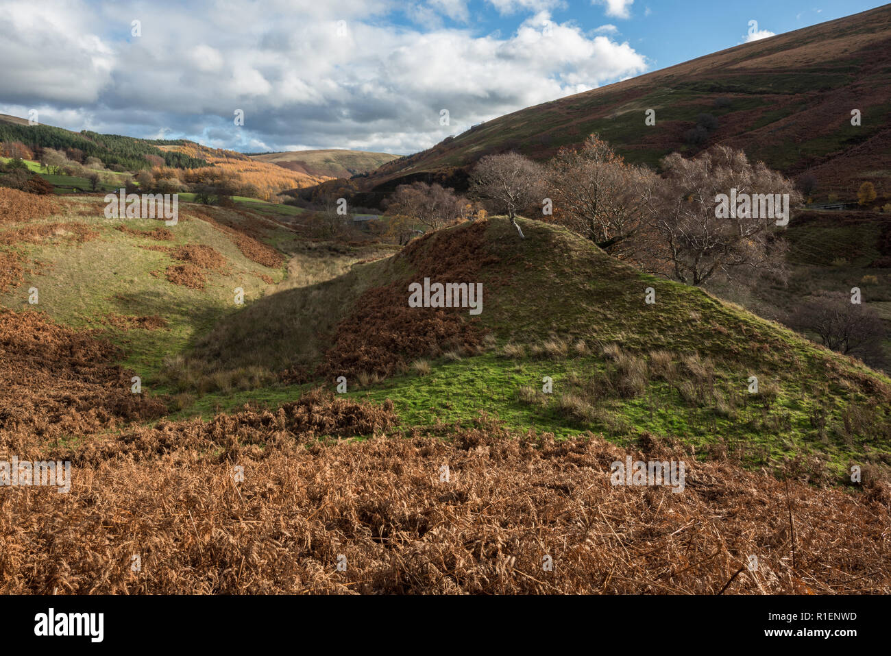 Frana ridge crest nei boschi Valley, il Parco Nazionale di Peak District, REGNO UNITO Foto Stock