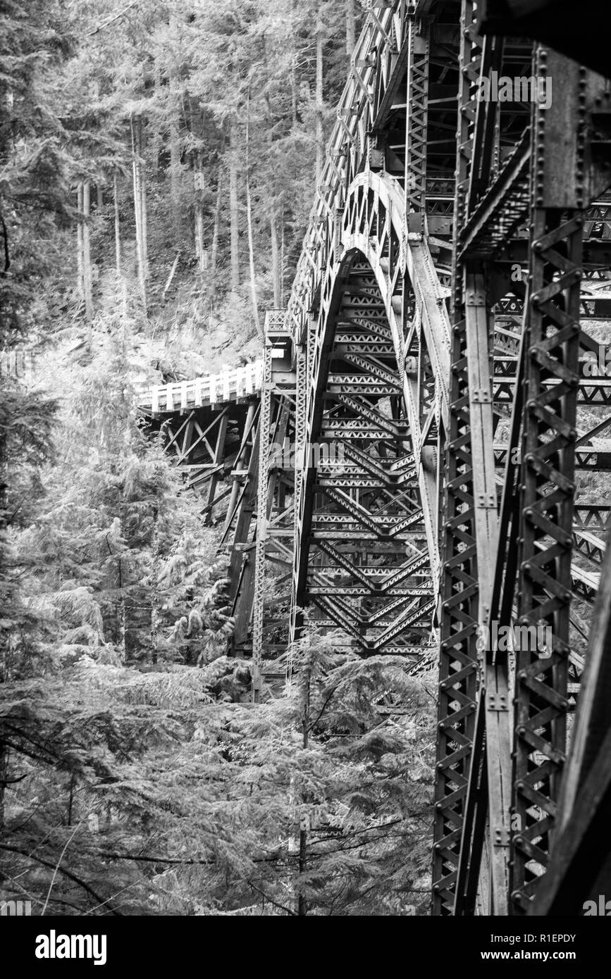Il vecchio ponte arrugginito nella foresta Foto Stock