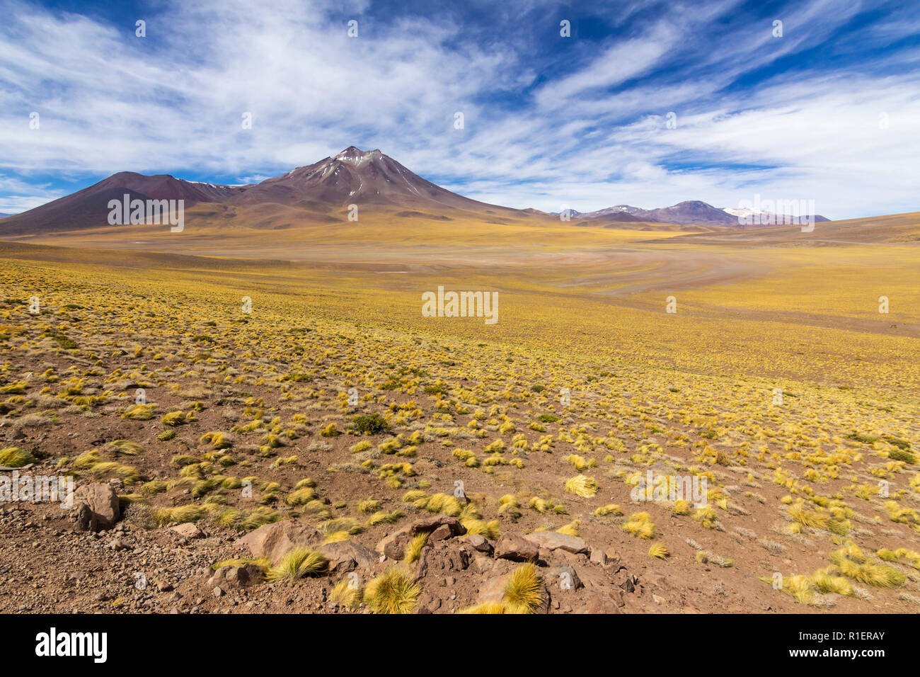 Il fantastico panorama al deserto di Atacama altiplano, a più di 4.000 mslm è un impressionante paesaggio del deserto andando a un orizzonte infinito Foto Stock