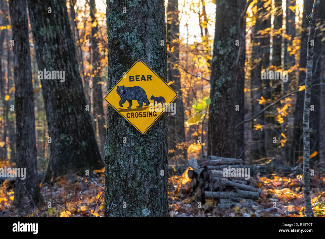 Recare segni di attraversamento in zaffiro, North Carolina mountaintop comunità. (USA) Foto Stock