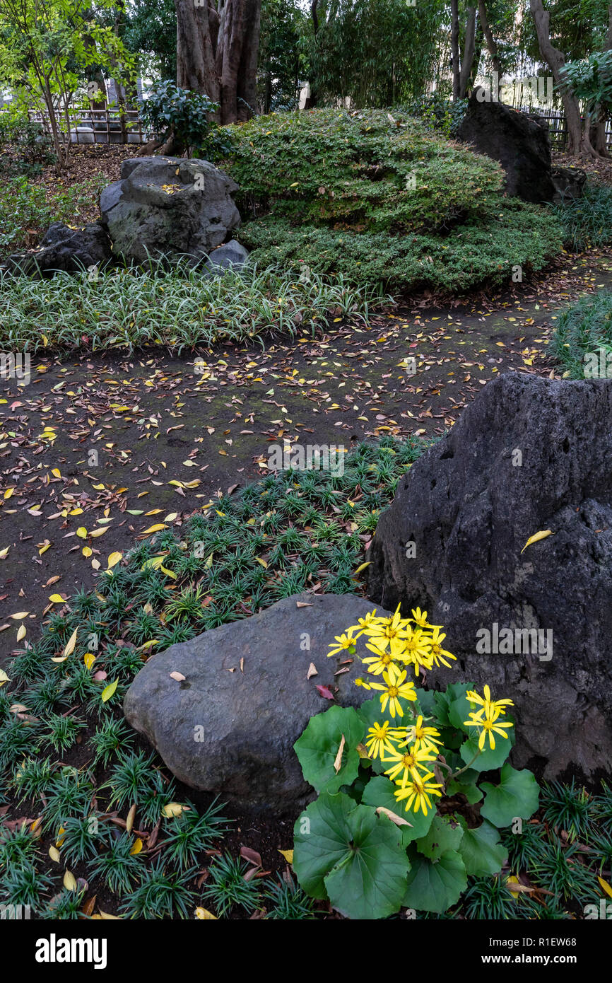 Togoshi Park Garden presenta tracce storiche dalla Hosokawa famiglia di Kumamoto - un signore durante il periodo Edo. Il giardino curve intorno una disposizione Foto Stock