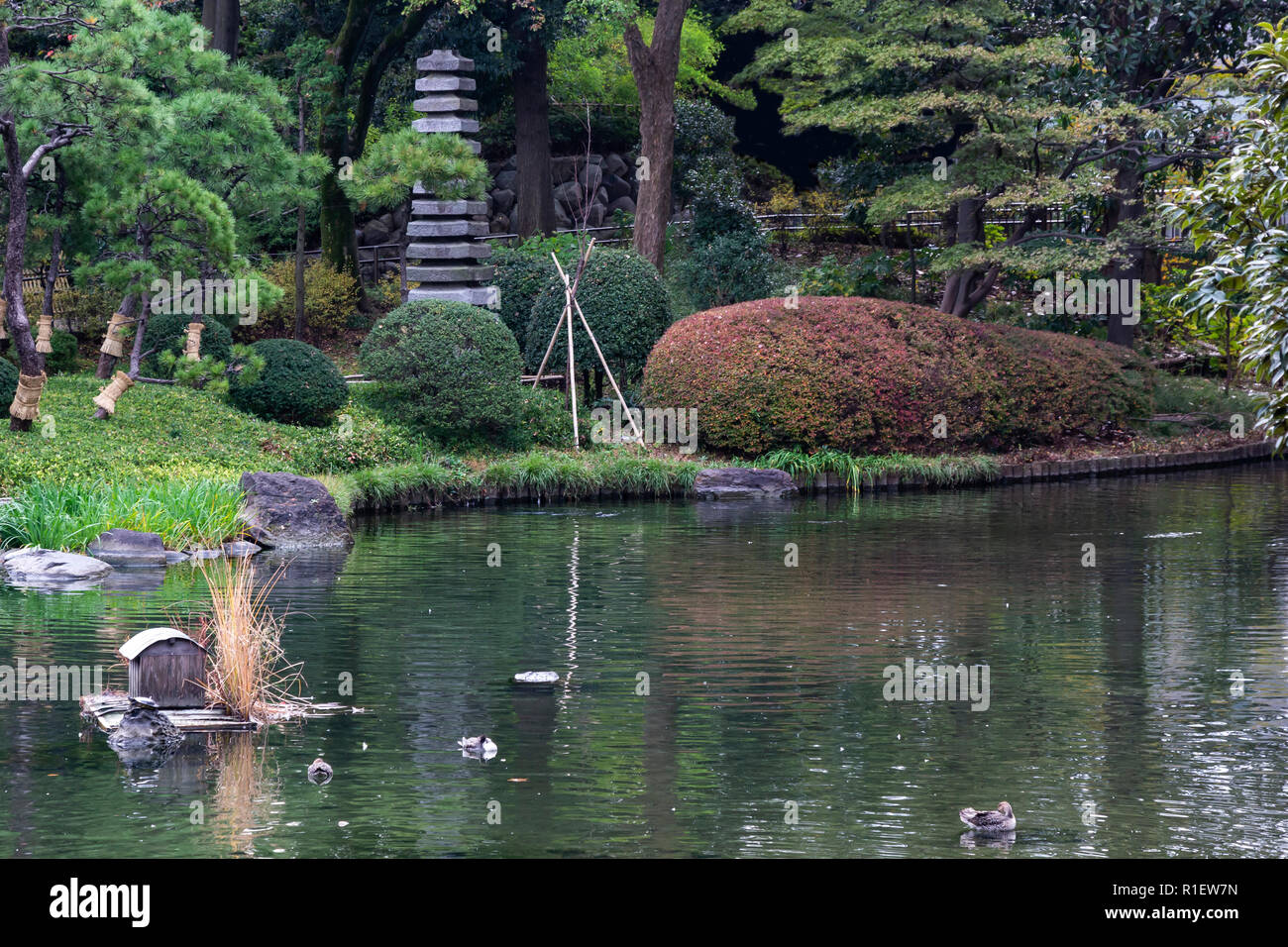 Togoshi Park Garden presenta tracce storiche dalla Hosokawa famiglia di Kumamoto - un signore durante il periodo Edo. Il giardino curve intorno una disposizione Foto Stock