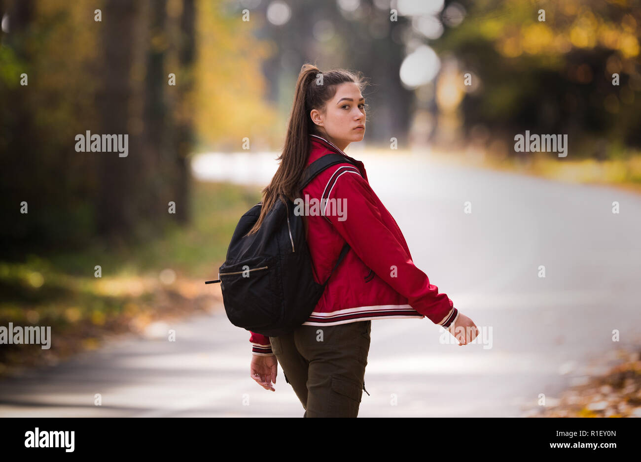 Bella ragazza sollevatore escursionismo a Bosco in autunno Foto Stock