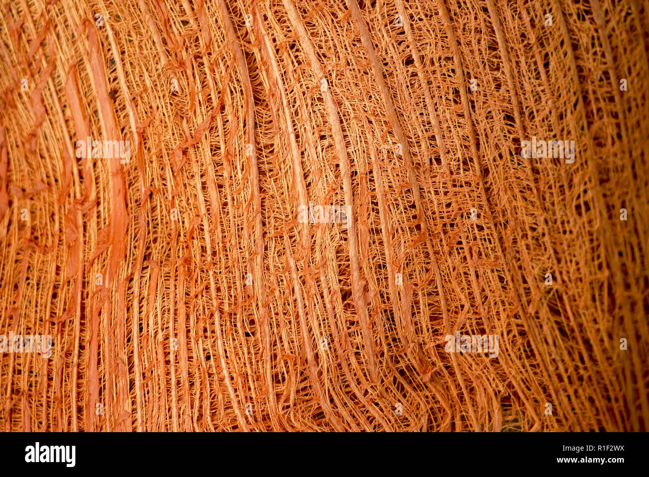 La texture di fibra di noce di cocco sfondo astratto Foto Stock