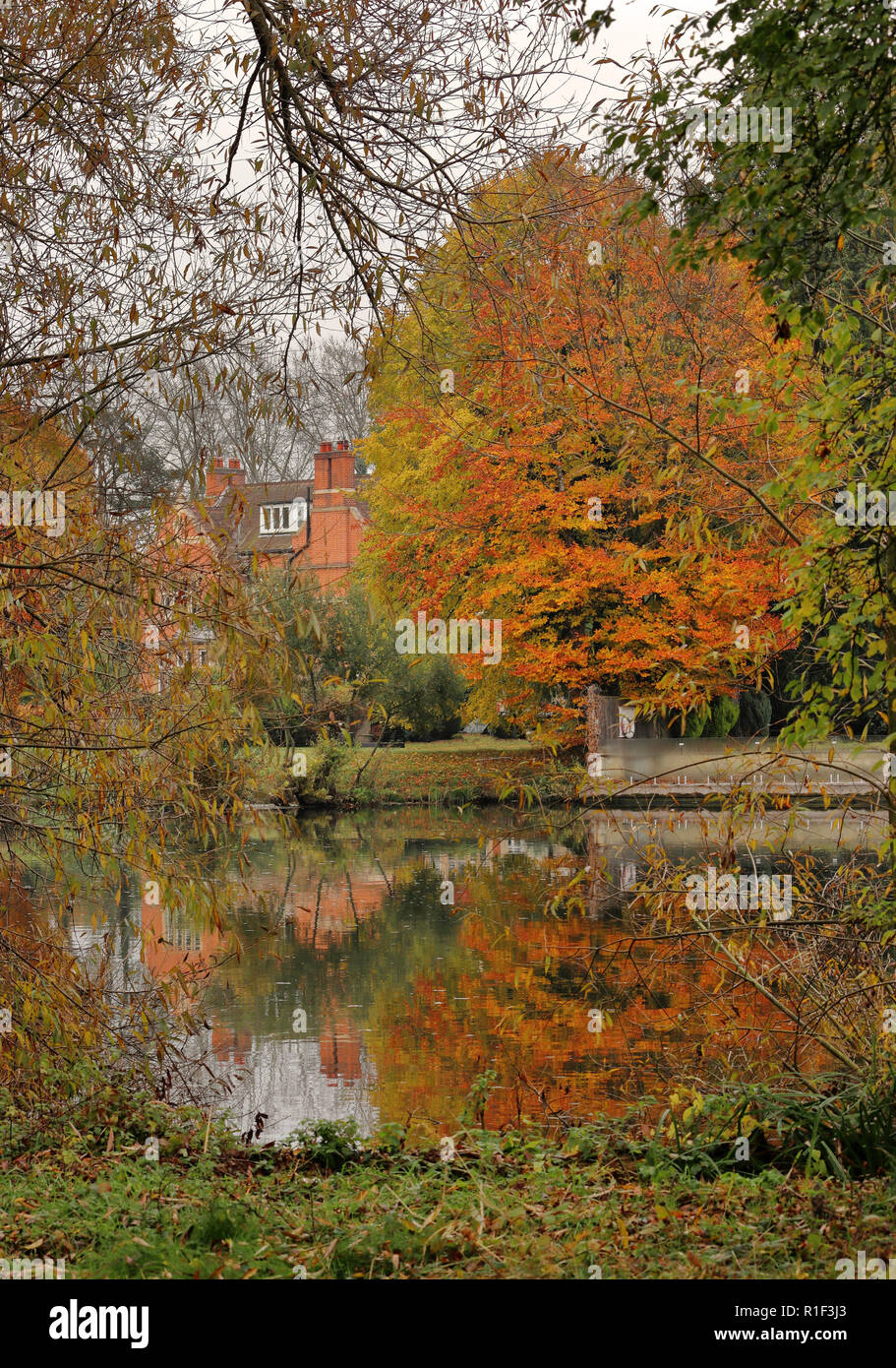 Autunno sul Fiume Tamigi vicino a Windsor Foto Stock
