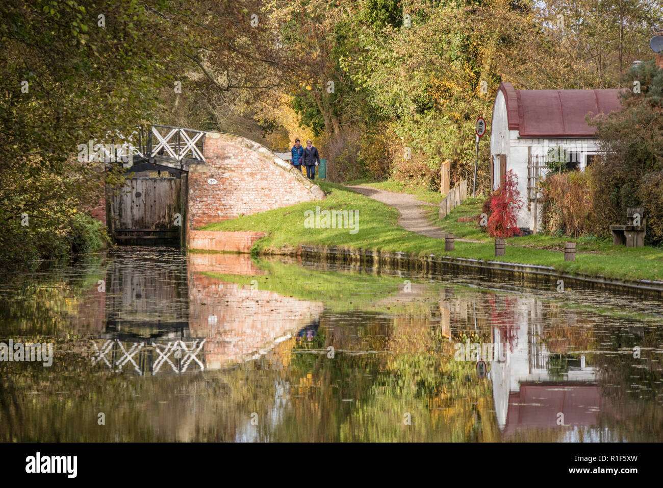 Autunno in Stratford upon Avon Canal tra Lapworth e Lowsonford, Warwickshire, Inghilterra, Regno Unito Foto Stock