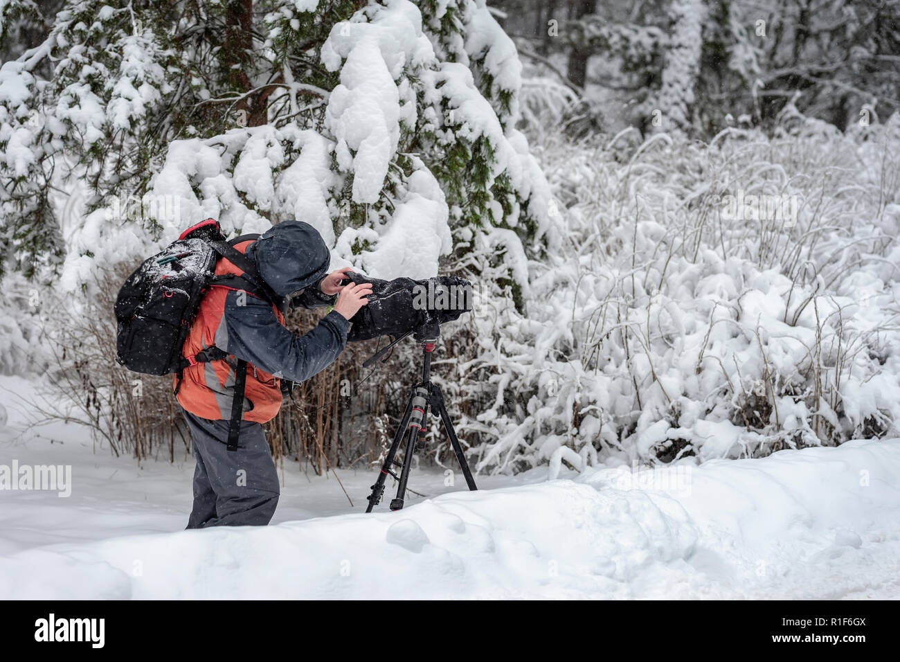 Dietro la scena. Cameraman con videocamera su cavalletto, le riprese del  film scena in posizione esterna, sulla natura, foresta, freddo inverno  nevoso giorno Foto stock - Alamy