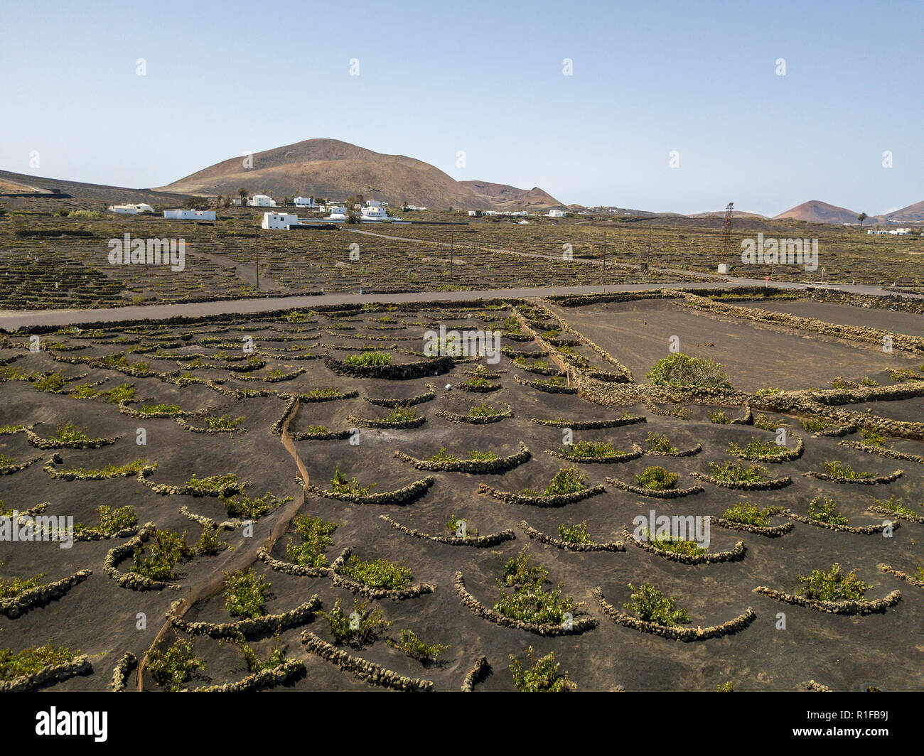 Vista aerea del vino delle colture su terreni di origine vulcanica dell'isola di Lanzarote, pianure e colline dell'entroterra. Isole Canarie Spagna Foto Stock