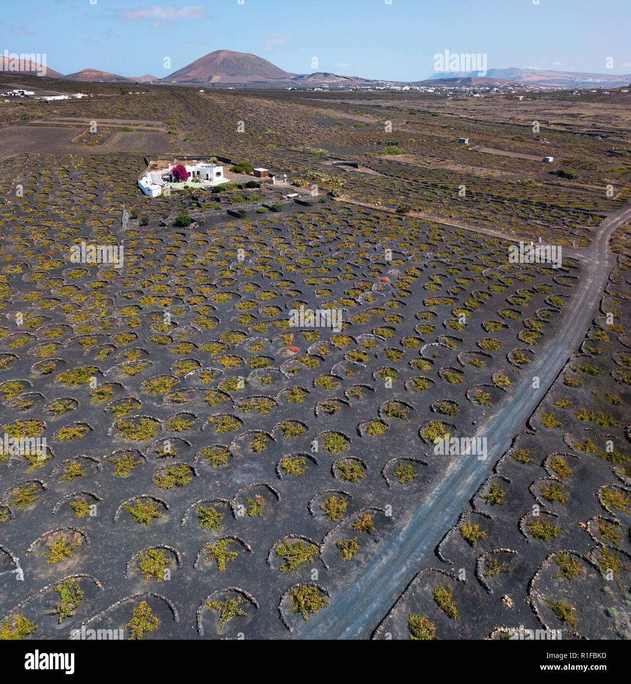 Vista aerea del vino delle colture su terreni di origine vulcanica dell'isola di Lanzarote, pianure e colline dell'entroterra. Isole Canarie Spagna Foto Stock