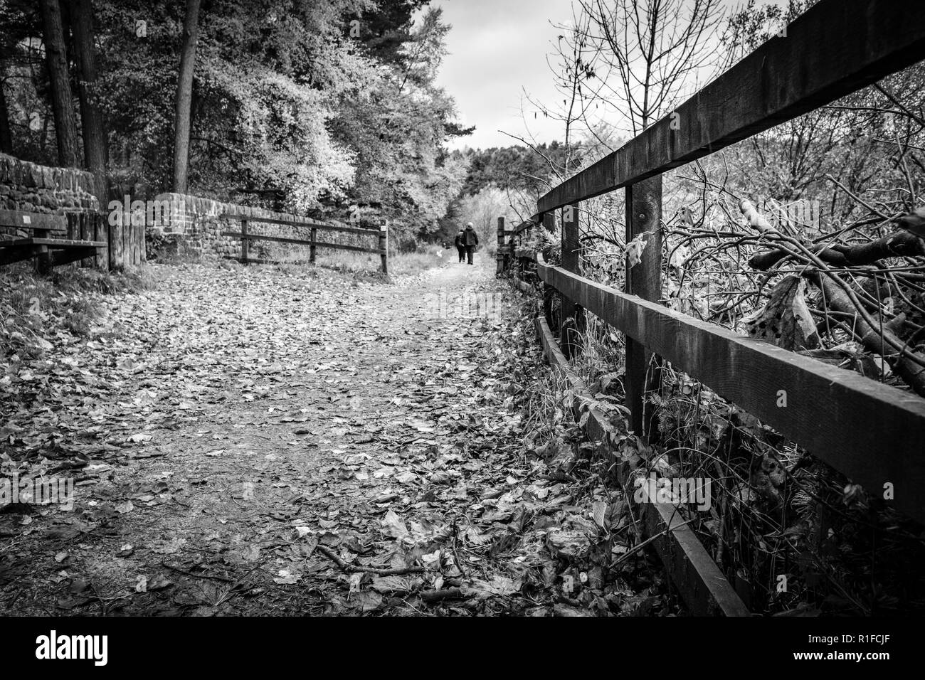 Scene autunnali a Ogden acqua riserva naturale, Halifax, Regno Unito Foto Stock