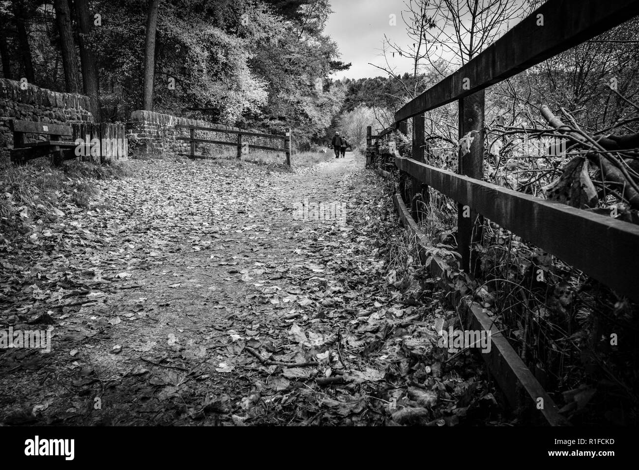 Scene autunnali a Ogden acqua riserva naturale, Halifax, Regno Unito Foto Stock