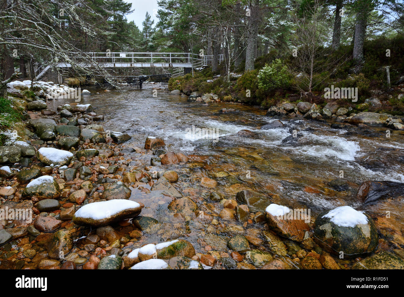 Passerella sul fiume Beanaidh sulla passeggiata nella foresta in inverno la neve, Rothiemurchus Estate, vicino a Aviemore Highland, Regione, Scozia Foto Stock