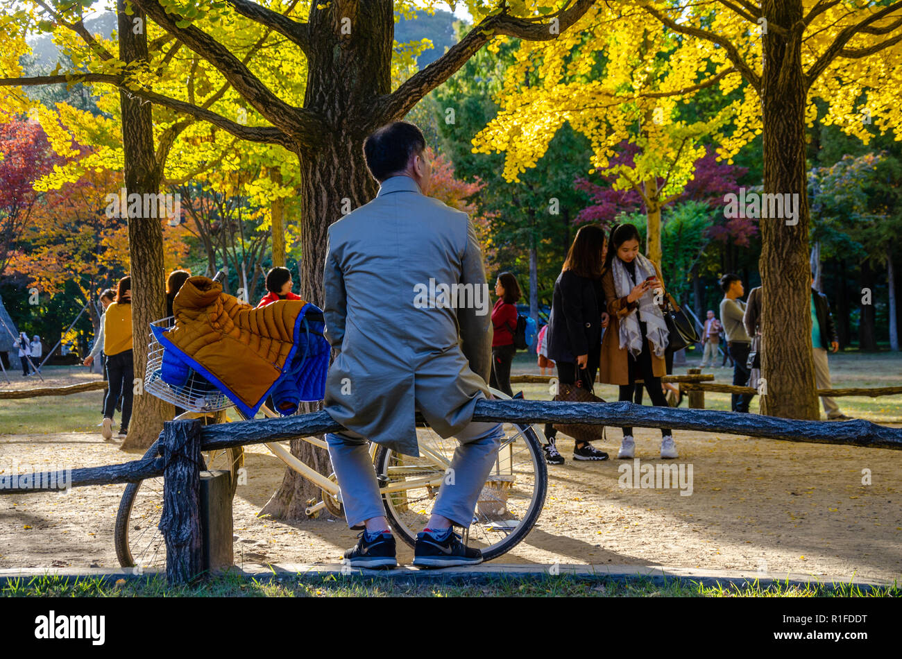Un uomo si siede su un recinto con la sua bicicletta e guarda il mondo passare dai turisti come scattare foto del giallo alberi di acero con fogliame di autunno. Foto Stock
