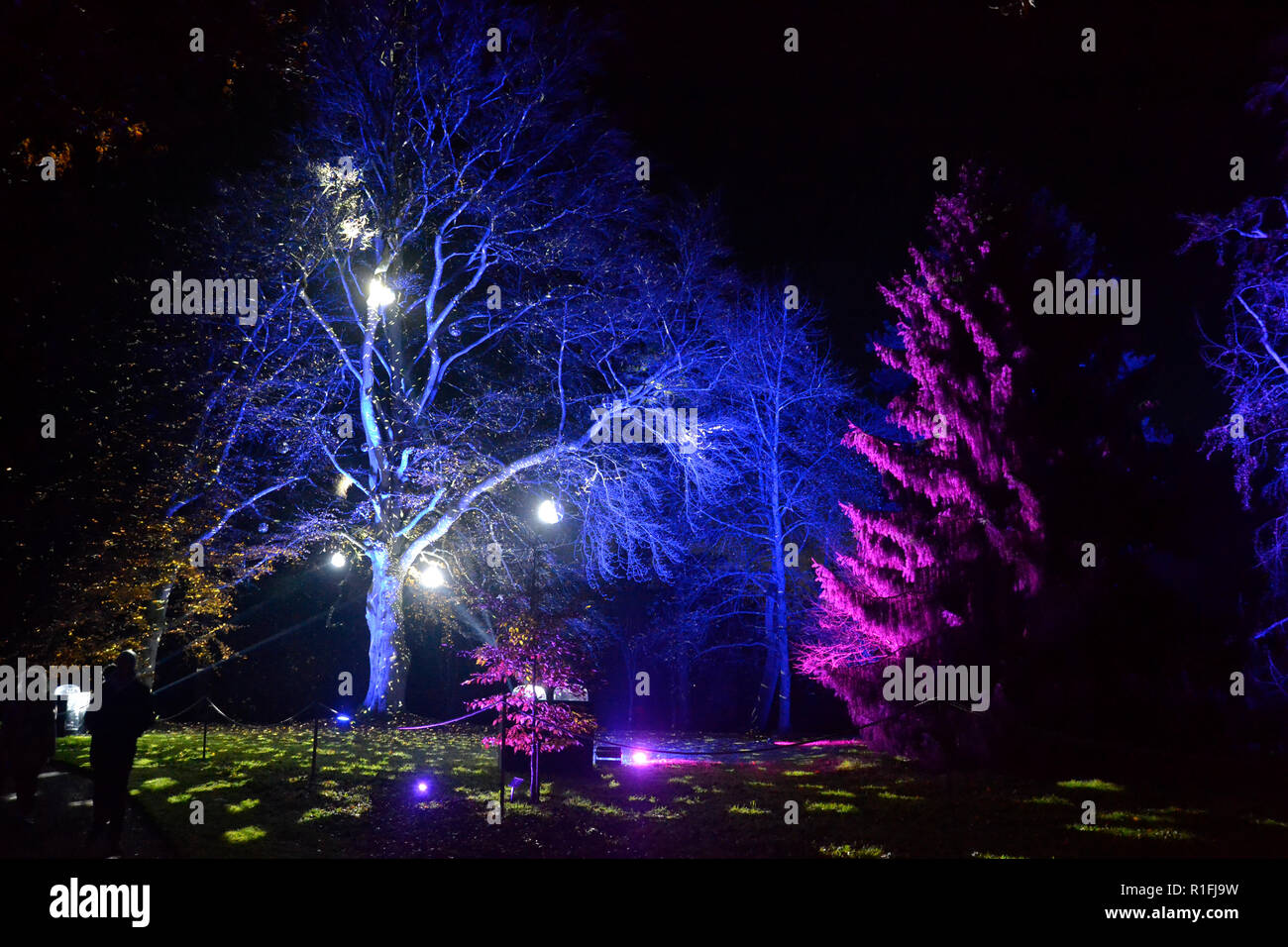 Aylesbury, Buckinghamshire, UK. Xi Nov, 2018. Waddesdon Manor Luminarie di Natale. Sentiero di luce. Continua dal 10 novembre al 2 gennaio 2019. UK Credit: Susie Kearley/Alamy Live News Foto Stock