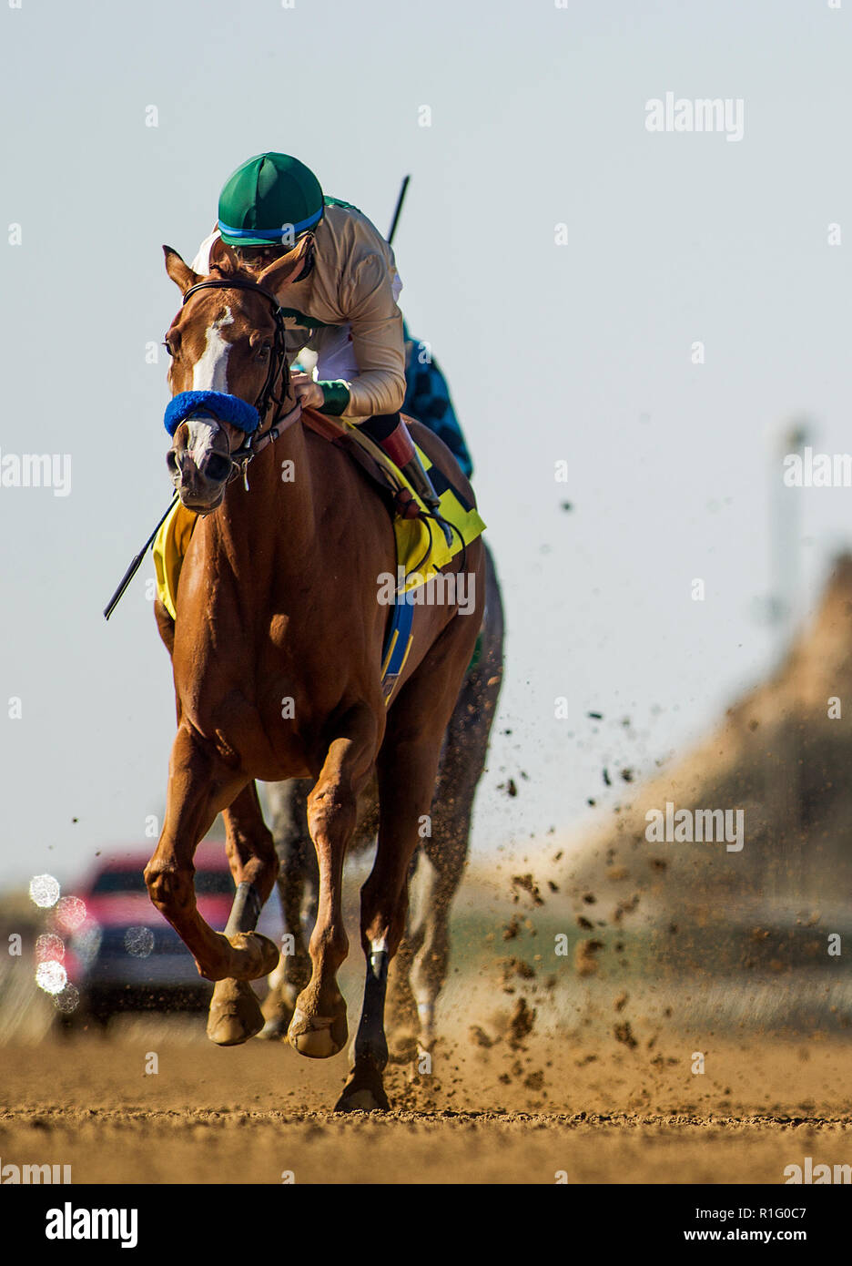 Del Mar, CA, Stati Uniti d'America. Xiii Nov, 2018. Novembre 12, 2018 : a caccia di ieri #4 con Drayden Van Dyke fino vince il Desi Arnaz in corrispondenza del Mar il 12 novembre 2018 in Del Mar, California. A caccia di ieri è una sorellastra di 2015 Triple Crown vincitore American Faraone. Evers/ESW/CSM/Alamy Live News Foto Stock