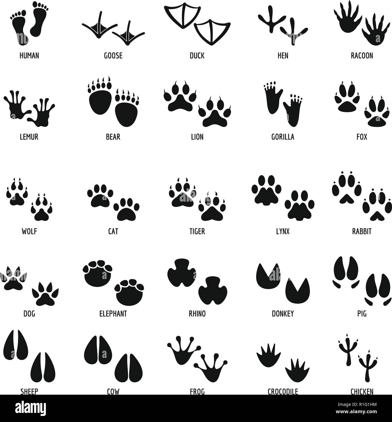 Footprint animale set di icone. Semplice illustrazione del 25 animal footprint icone vettoriali per il web Illustrazione Vettoriale