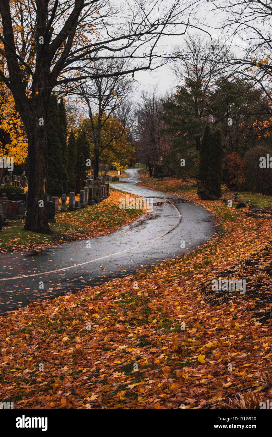 Strada a cadere in un CIMITERO DI SUNNYDALE - legno di faggio Cimitero Nazionale - Ottawa, Canada Foto Stock
