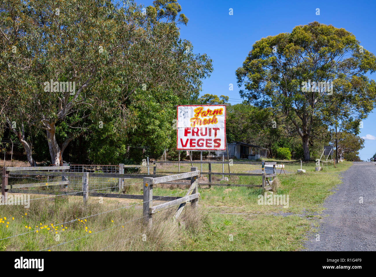 Azienda ortofrutticola presso la Peats Ridge sul Nuovo Galles del Sud Costa Centrale,l'Australia Foto Stock