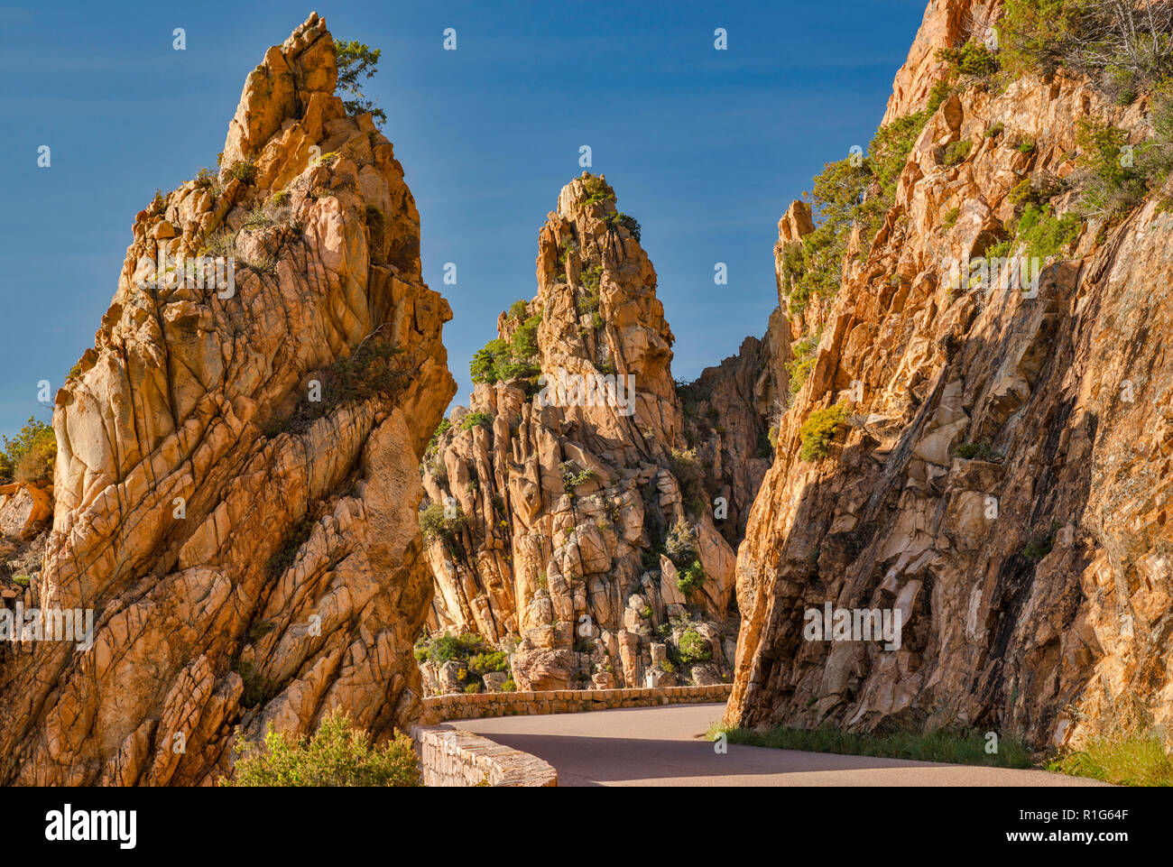 Rocce Taffoni, arancione porphyritic rocce di granito su strada a Les Calanche de Piana, Sito Patrimonio Mondiale dell'UNESCO, vicino alla città di Piana, Corsica, Francia Foto Stock