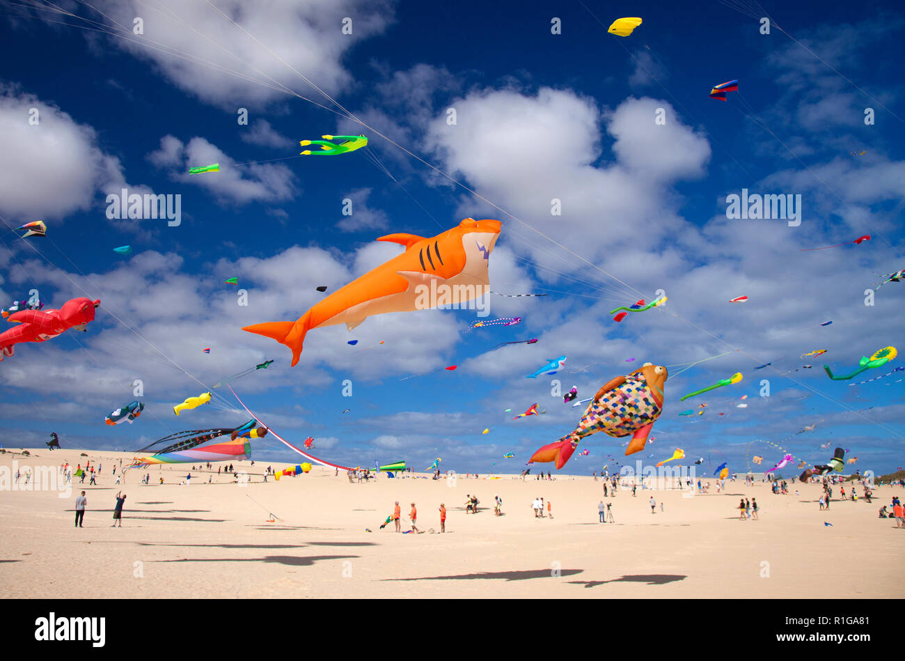 FUERTEVENTURA, Spagna - 10 novembre: i visitatori godere display abeautiful aquiloni di a 31 International Kite Festival, Novembre 10, 2018 in Natur Foto Stock