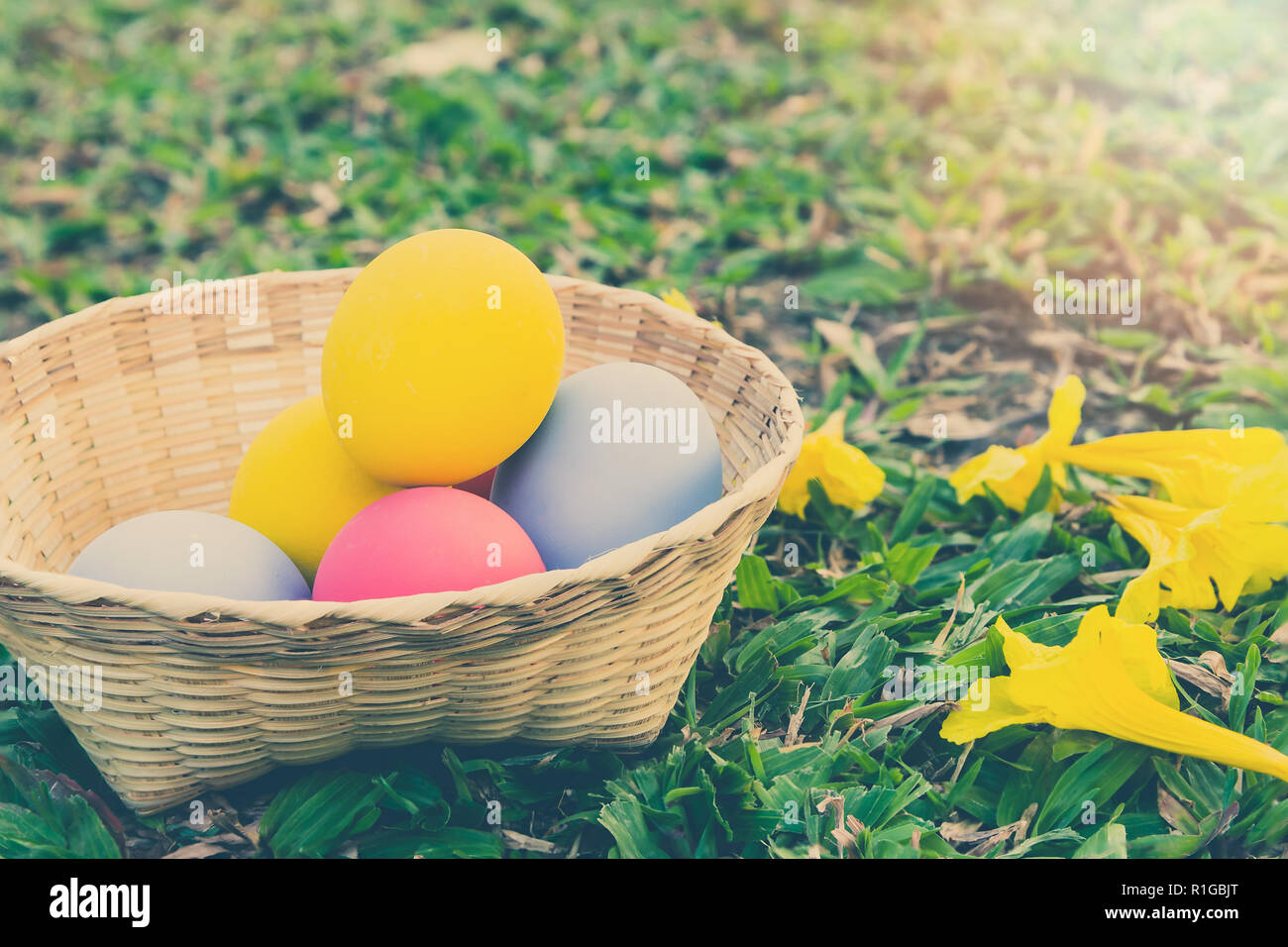 Luminose colorate uova di Pasqua in un cestello sul vetro verde. Concetto di vacanza. Foto Stock