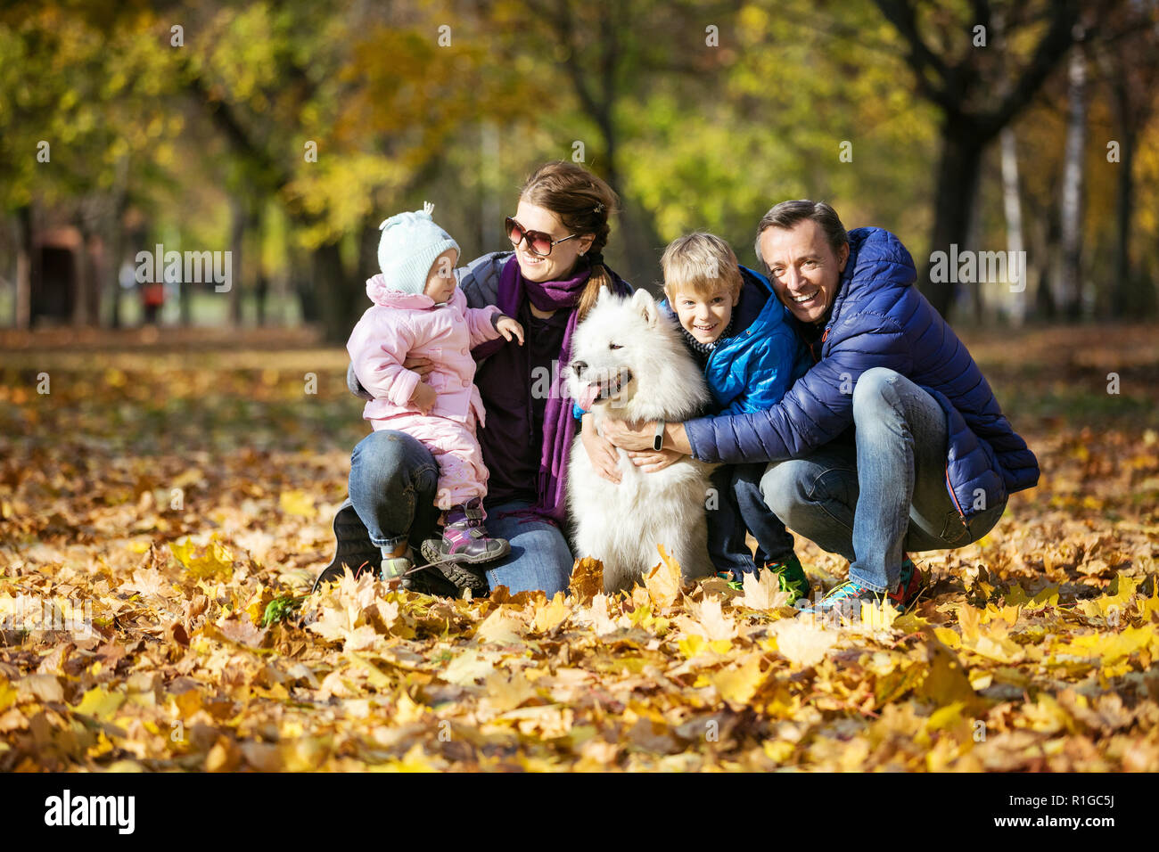 La famiglia felice di quattro sulla passeggiata con il cane samoiedo in autunno park Foto Stock