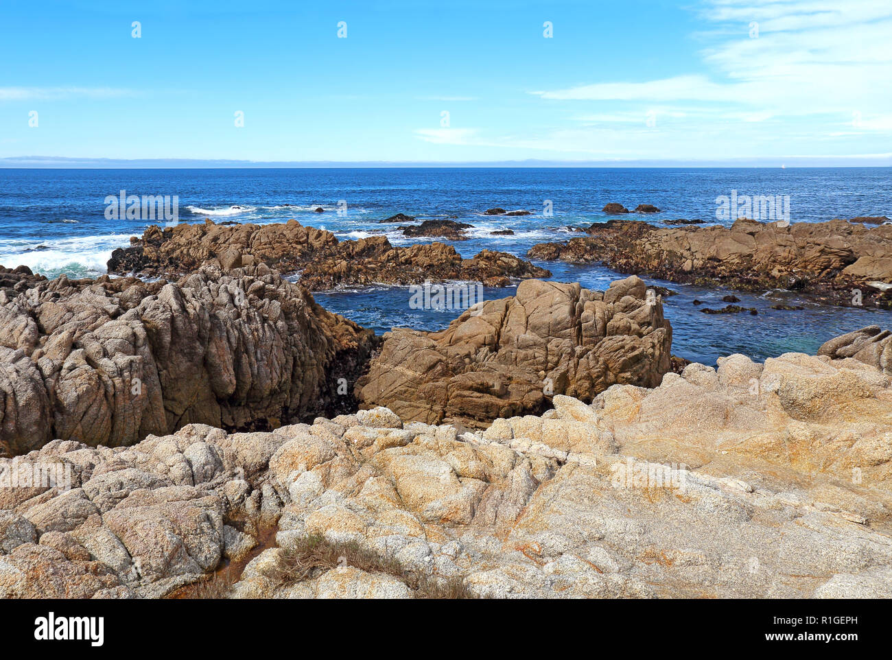 La bassa marea rivela alghe e pozze di marea al di sotto di promontori rocciosi a stato Asilomar Beach in Pacific Grove sulla penisola di Monterey in California Foto Stock