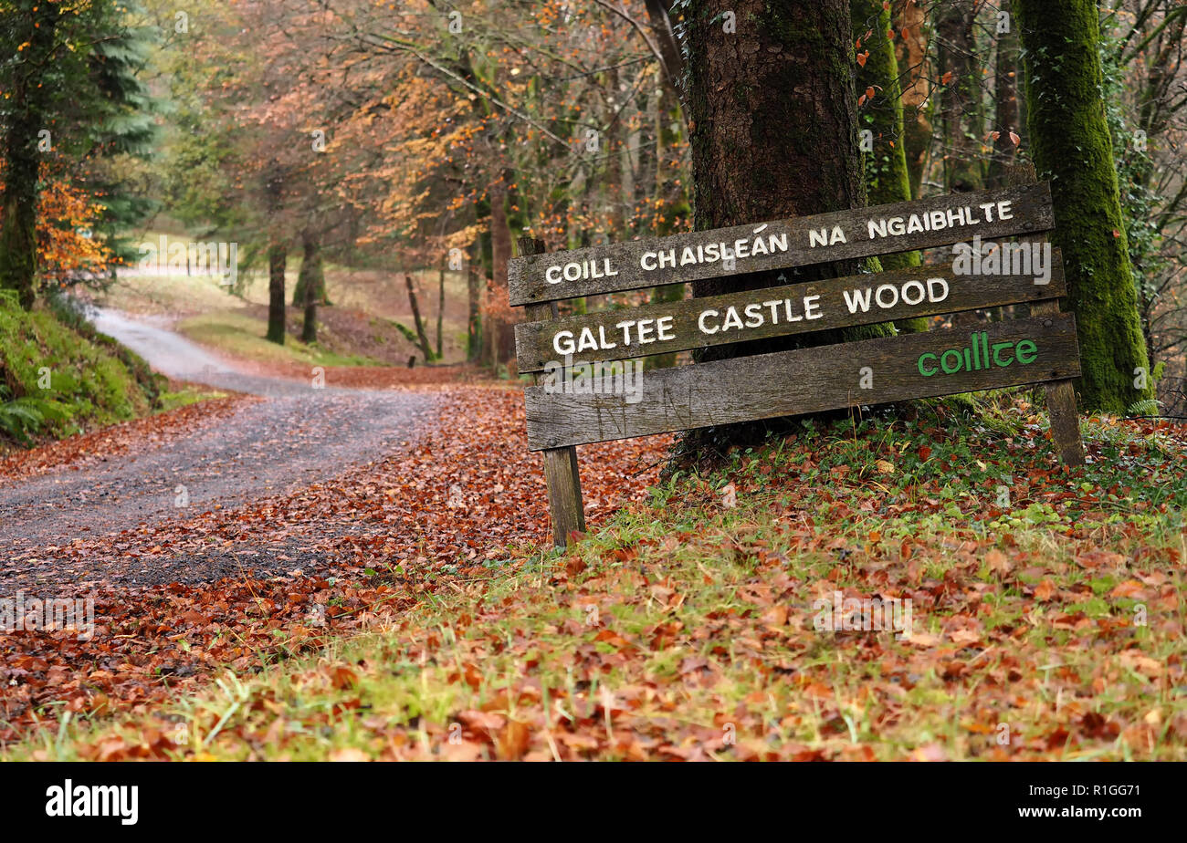 Segno in ingresso al castello di Galtee legno, Limerick Foto Stock