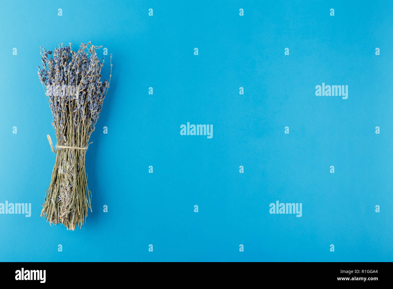 Mazzetto di estratto secco di fiori di lavanda su uno sfondo blu. Vista superiore Foto Stock